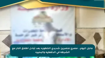 عاجل اليوم.. مصرع عنصرين شديدي الخطورة بعد تبادل إطلاق النار مع الشرطة في الدقهلية والبحيرة